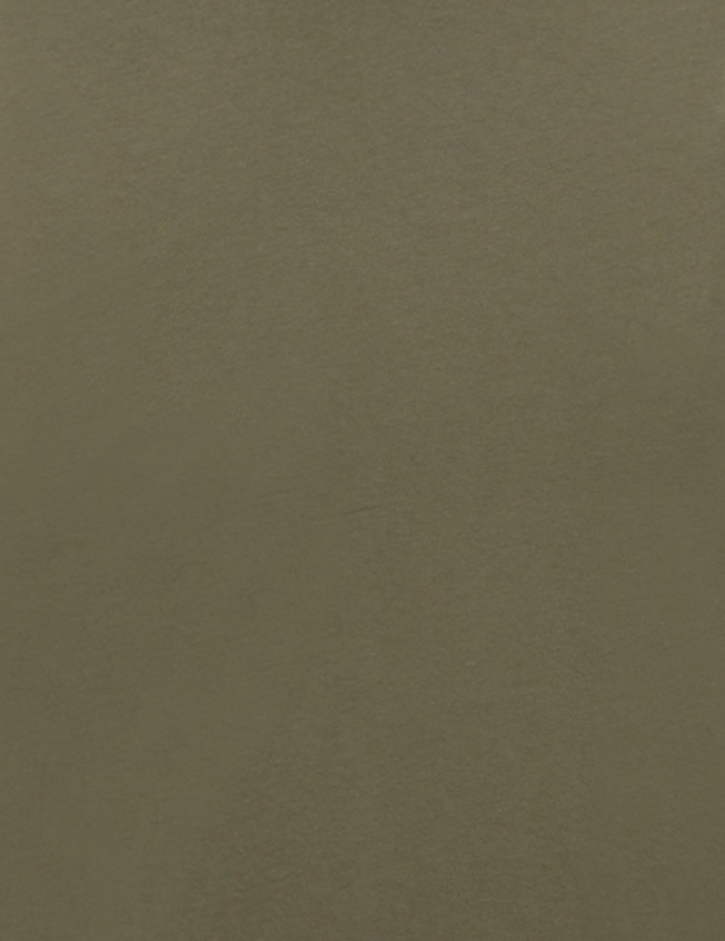 Alternative 1170J1 Military