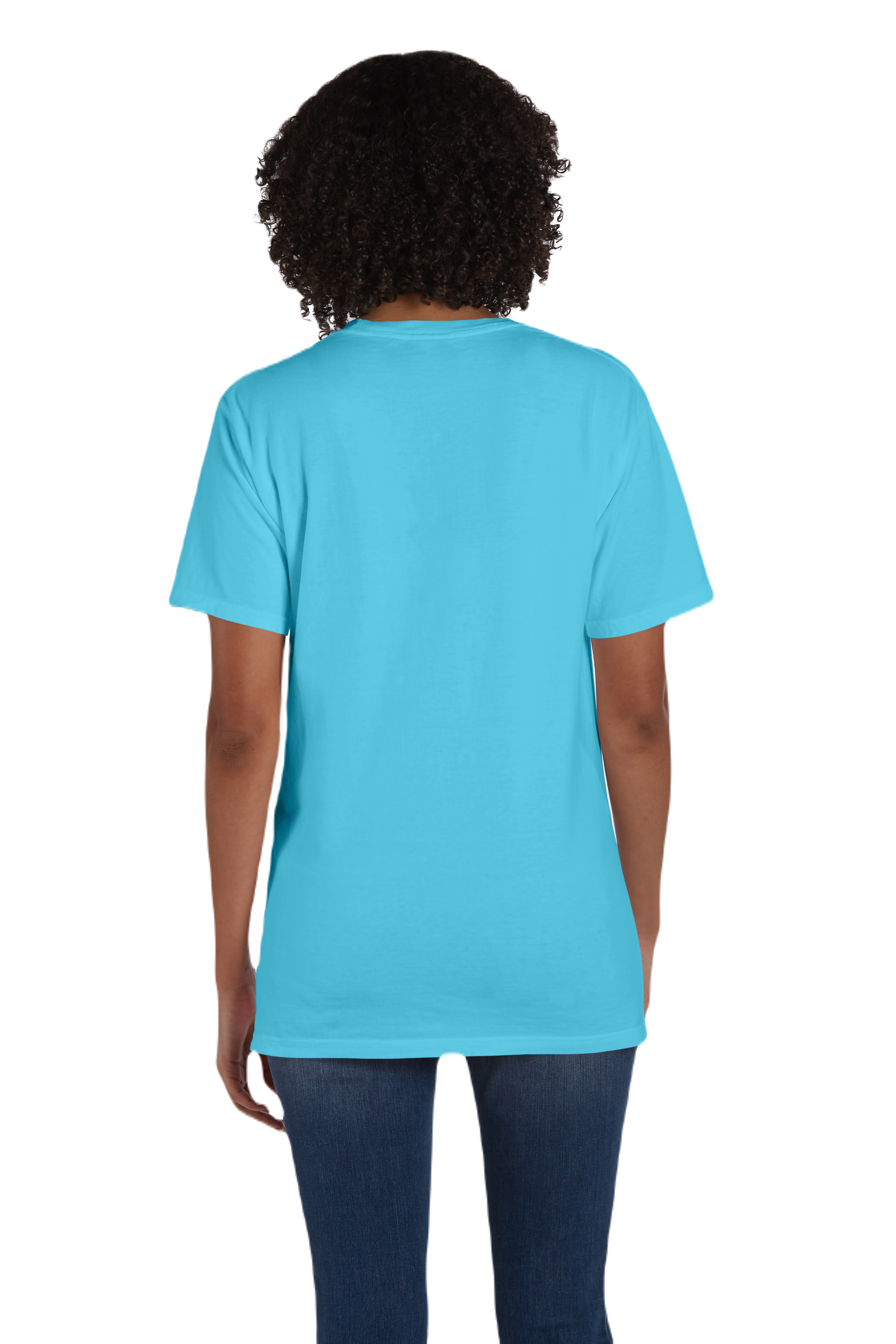 ComfortWash by Hanes GDH150 Freshwater