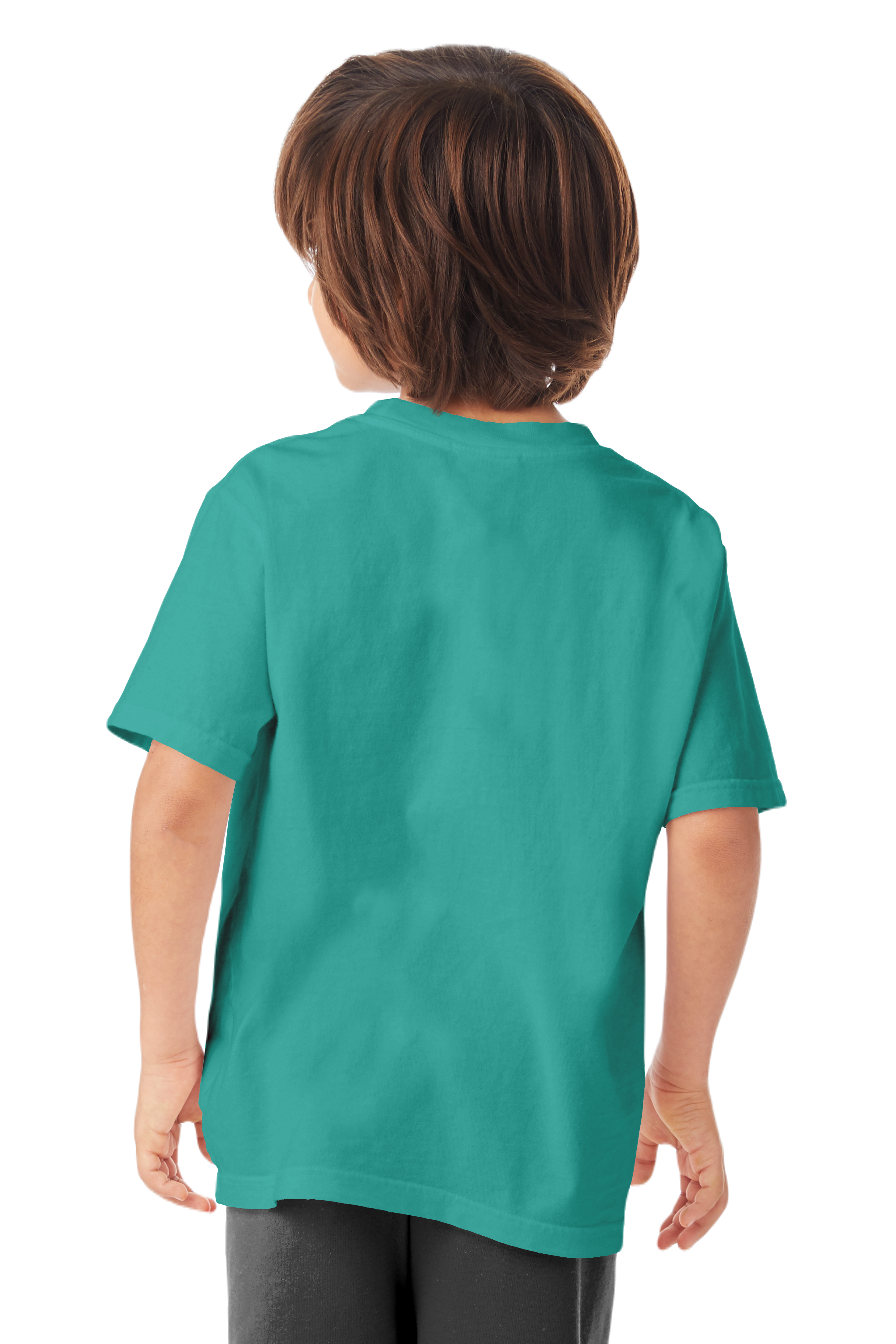 ComfortWash by Hanes GDH175 Spanish Moss