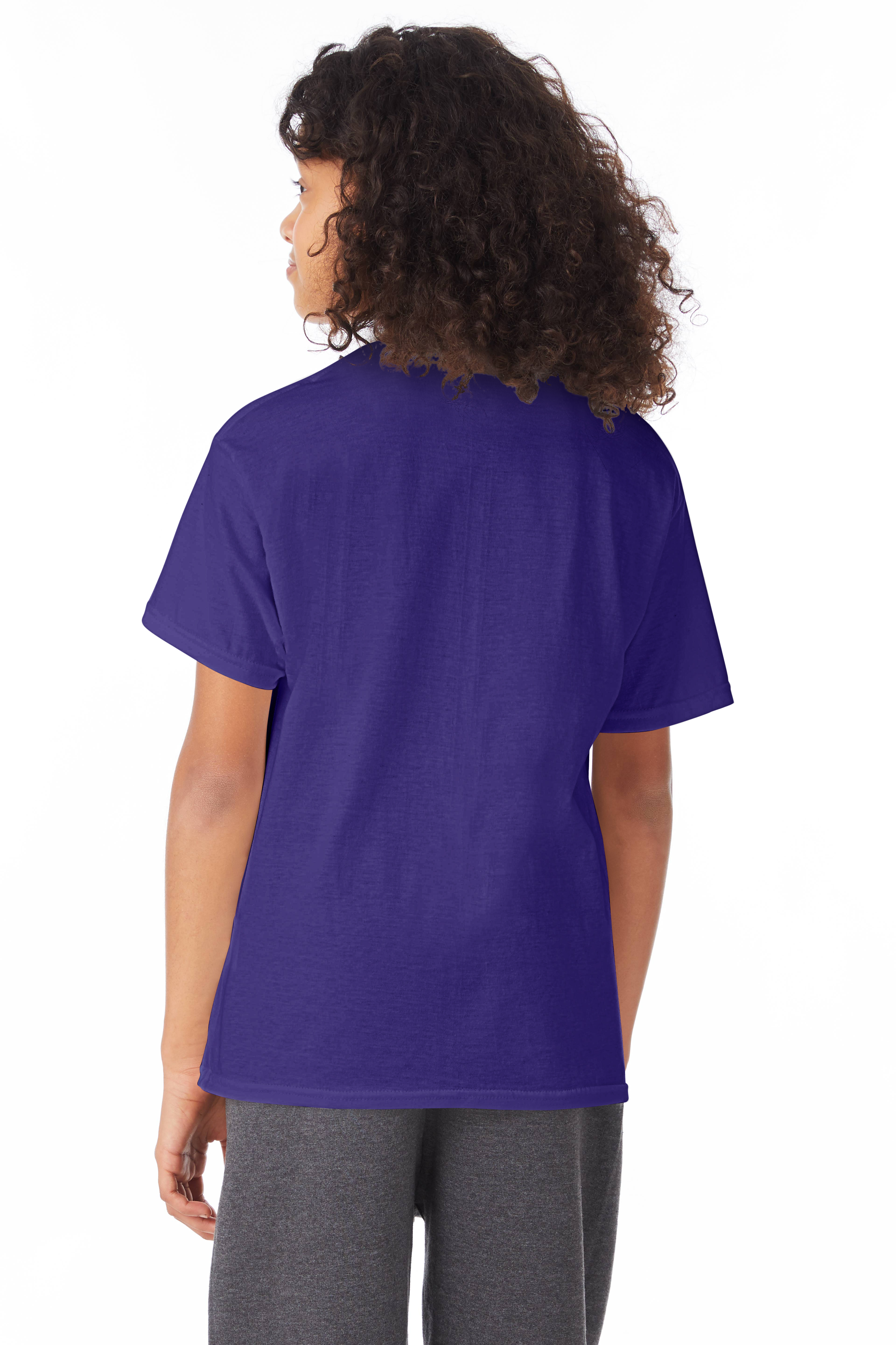 Hanes 5370 Purple