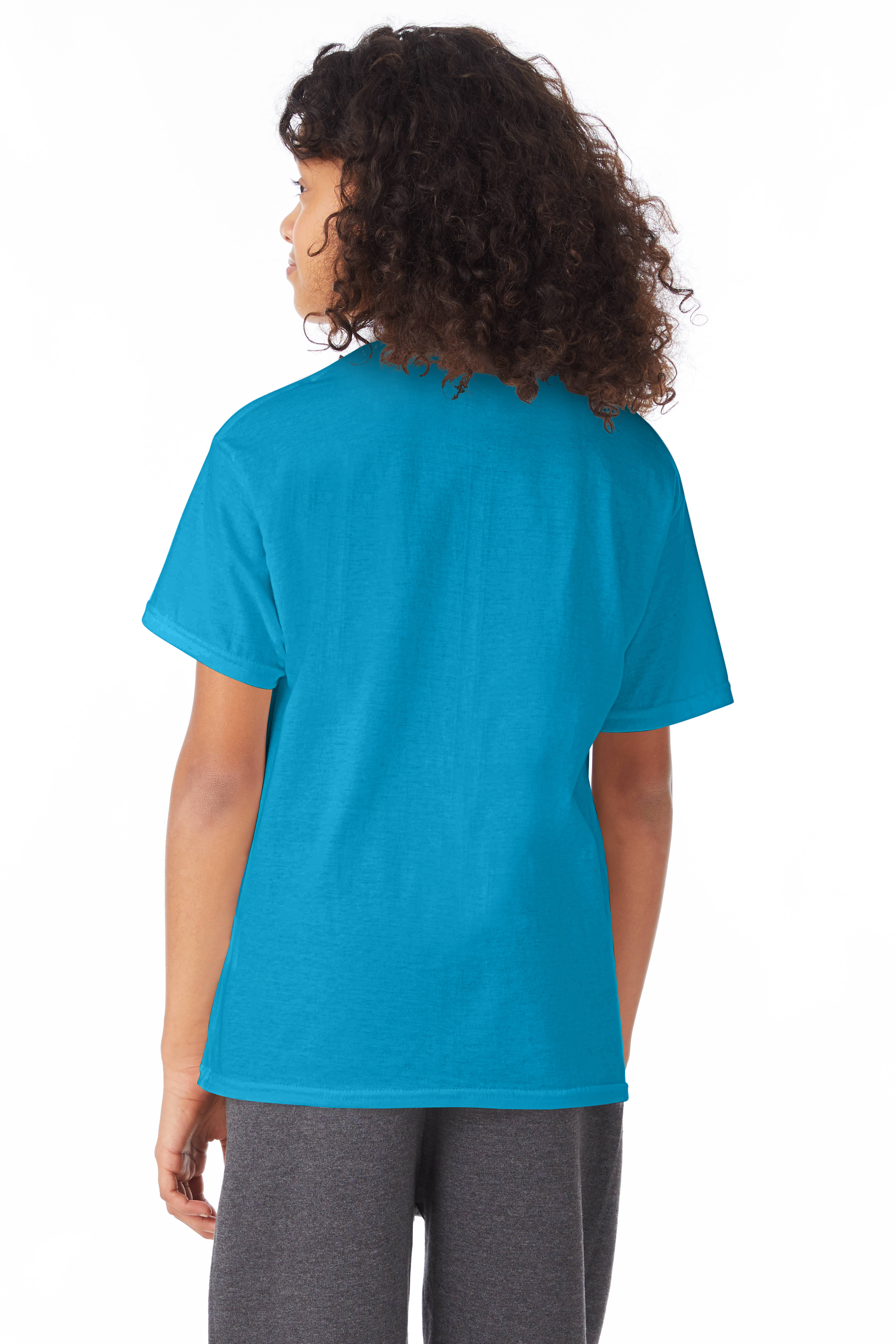 Hanes 5370 Teal