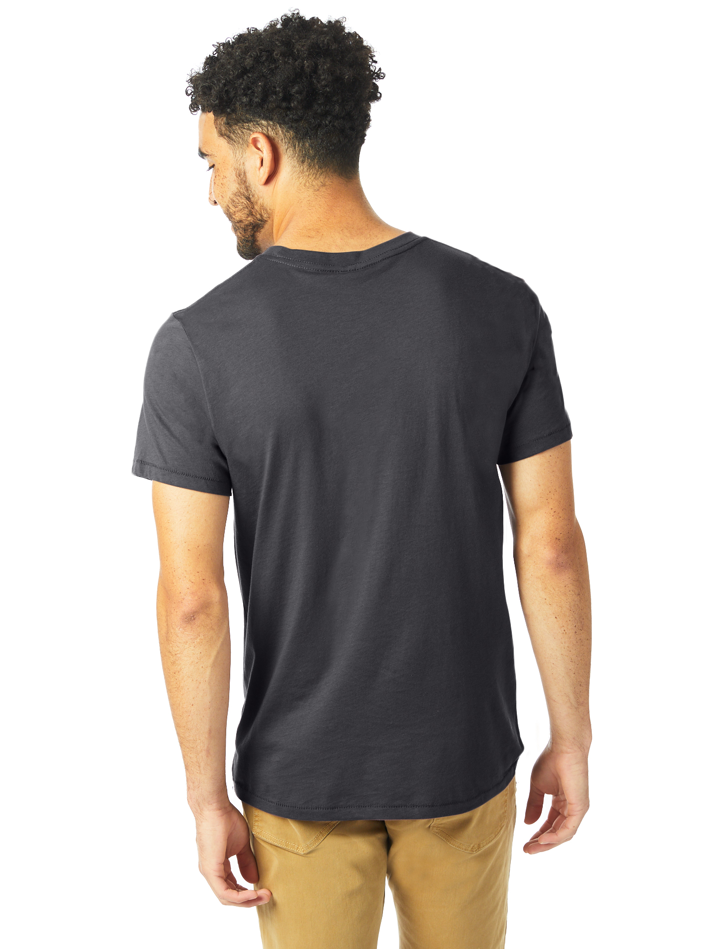 Alternative AA6005 Earth Coal