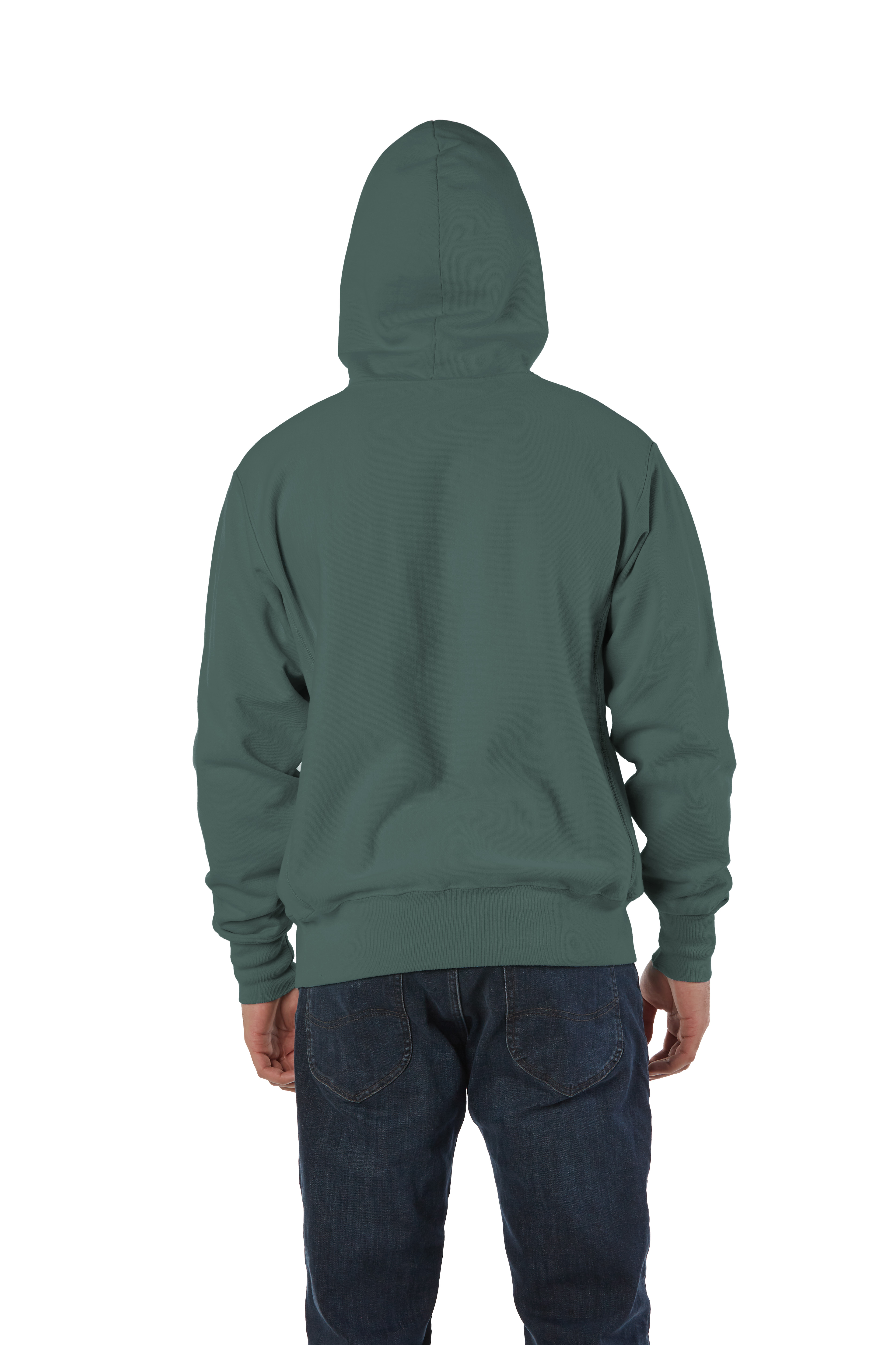 Champion GDS101 Cactus