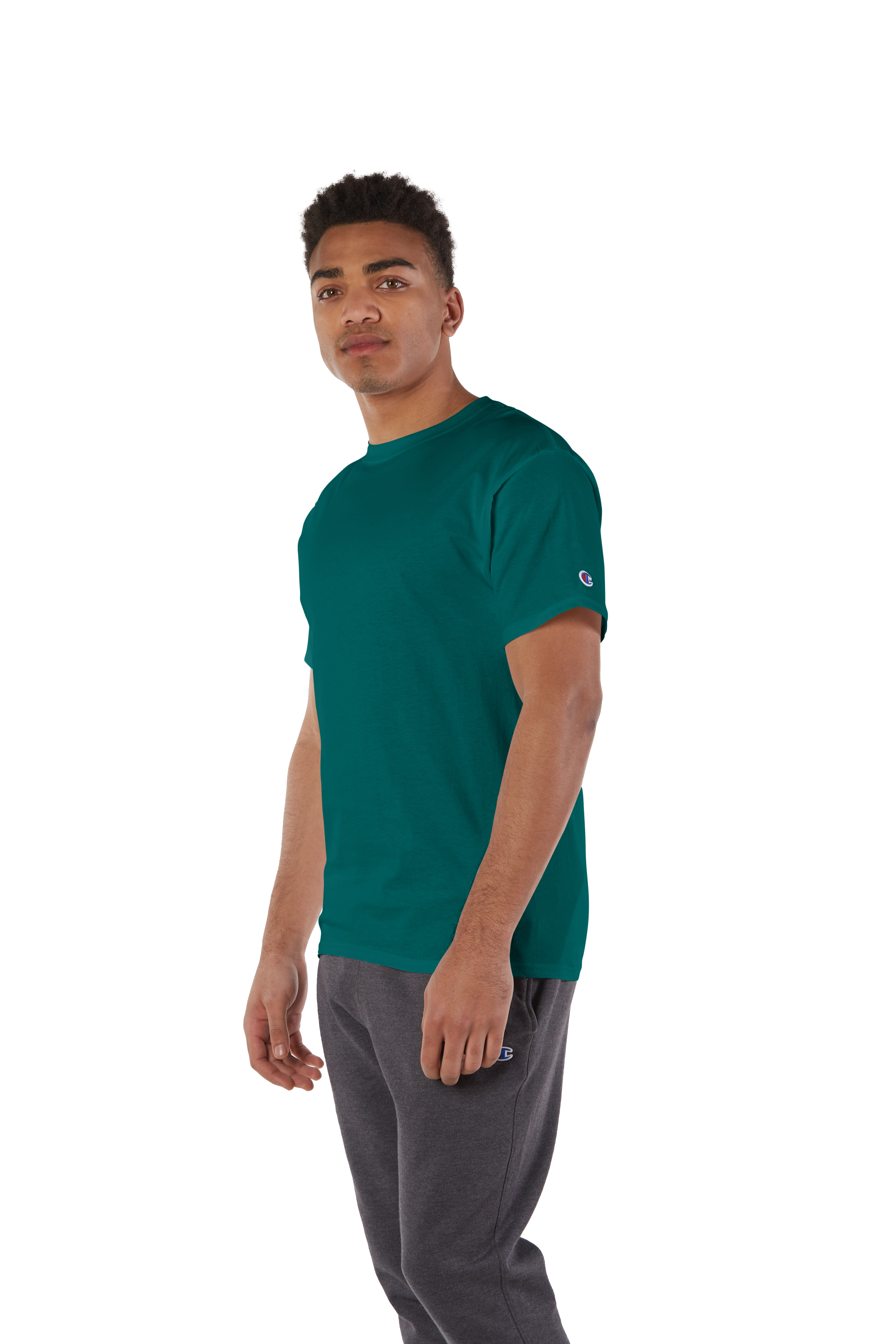 Tシャツ・カットソー SELF PORTRAIT FW25 Shirts (PF25 016T G GREEN) TEXT PRINT T-SHIRT - Green | ZARA United States