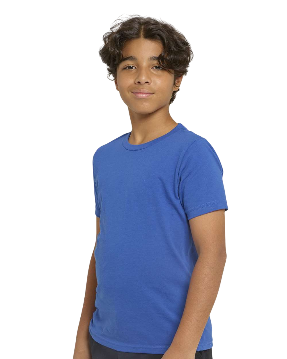 Threadfast Apparel T1000B Royal