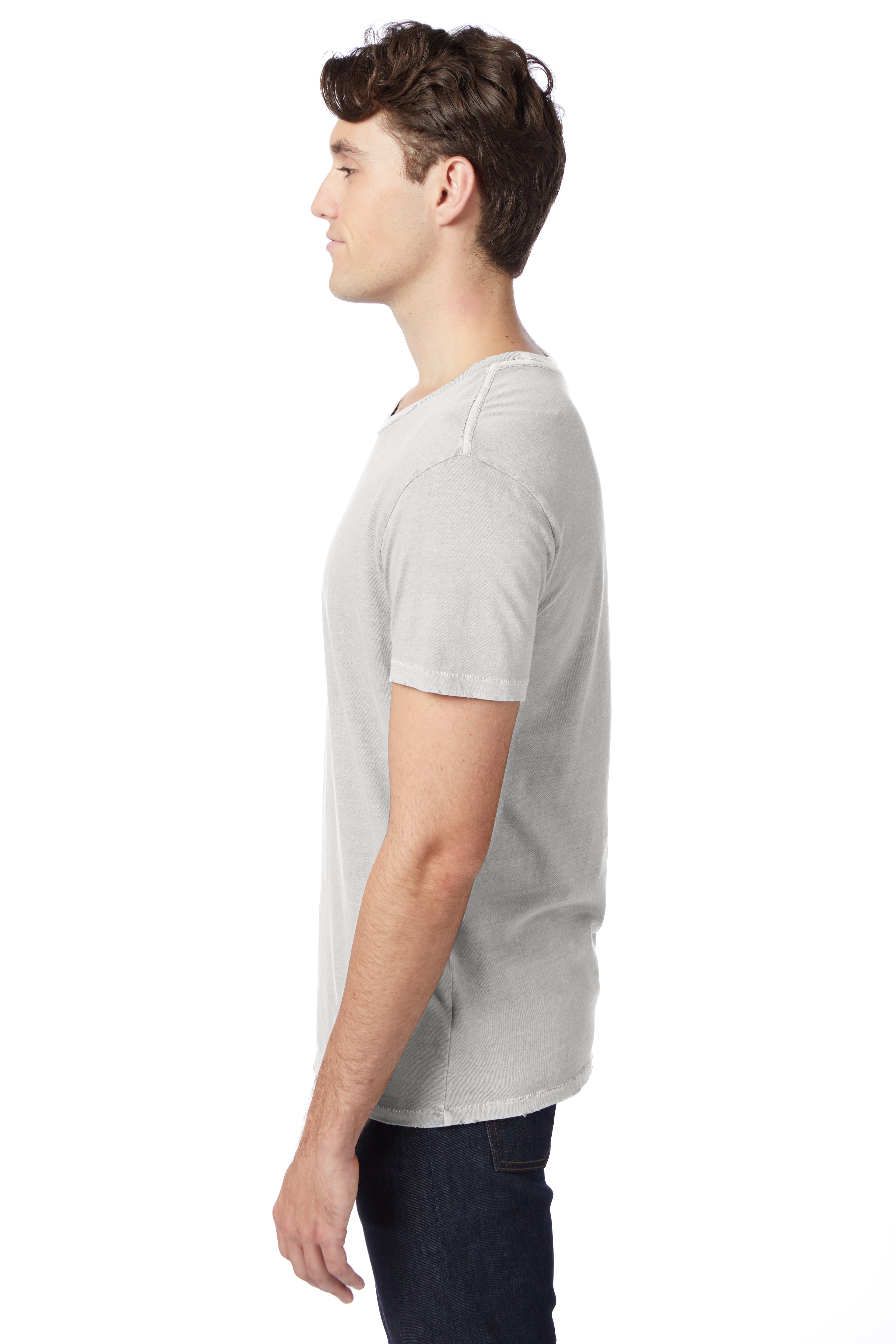 Alternative 04850C1 Gray Pigment