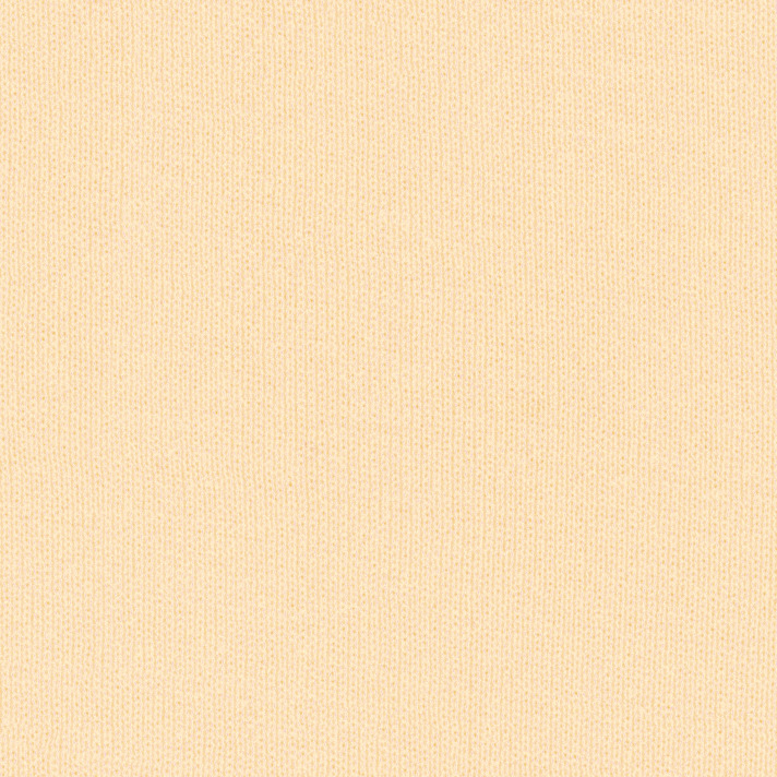 Bella + Canvas 100B Natural