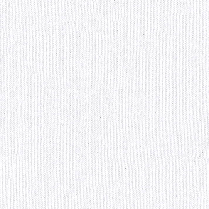 Bella + Canvas 8809 White