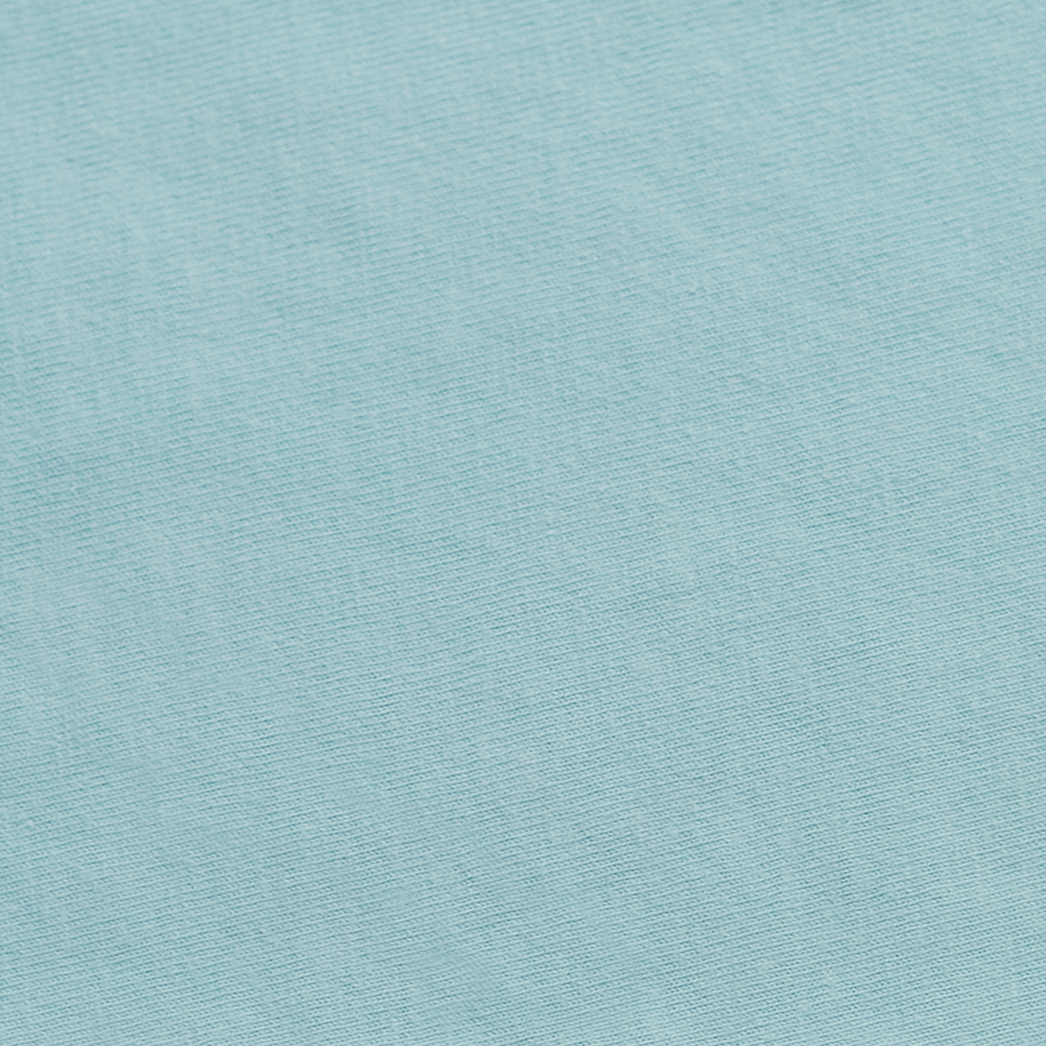 Champion GDS149 Paleseafm