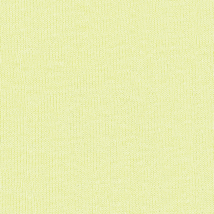 Bella + Canvas 1080 Lime