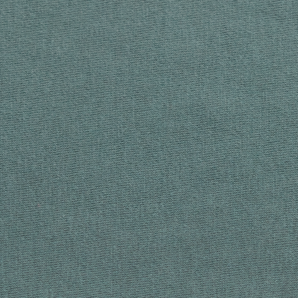 ComfortWash by Hanes GDH200 Cypress Green