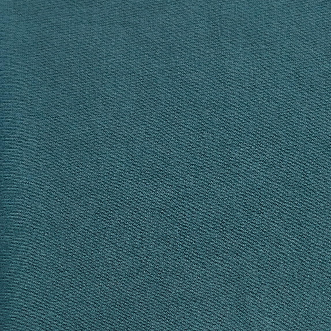 ComfortWash by Hanes GDH200 Cactus