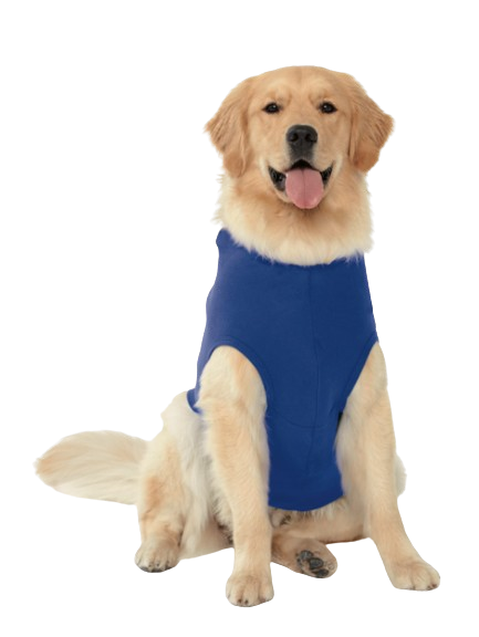 Picture for Royal / White