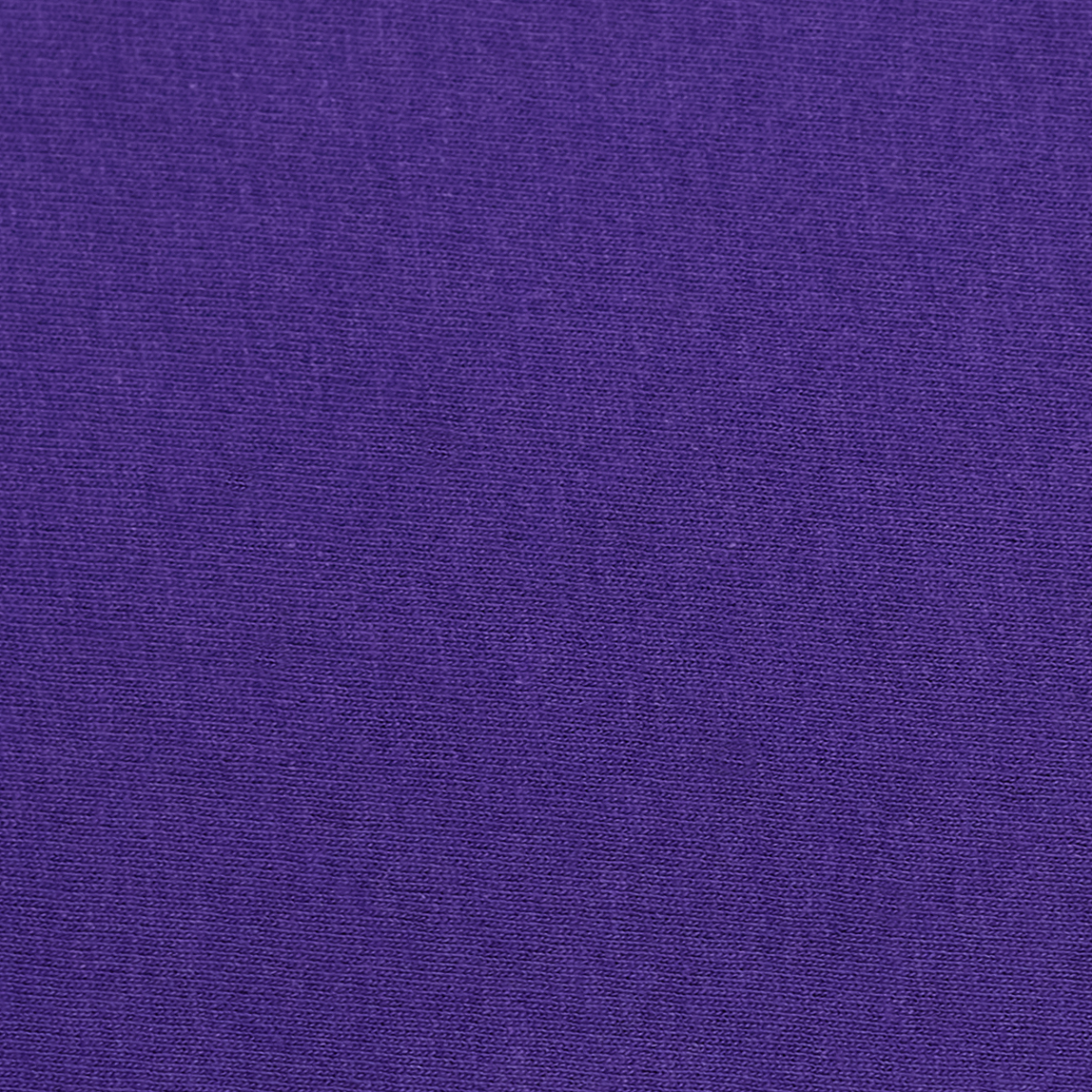 Hanes 54500 Purple