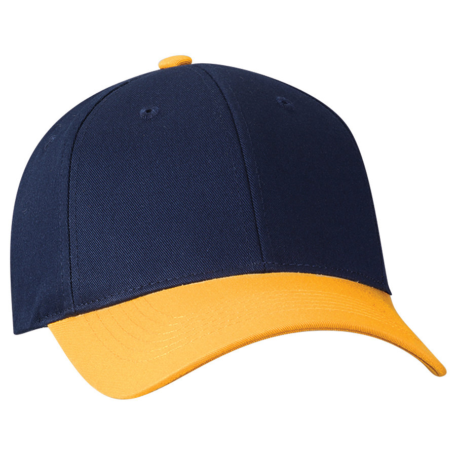 Picture for Navy / Gold