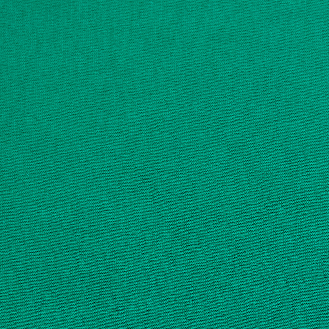 Hanes 5280 Kelly Green