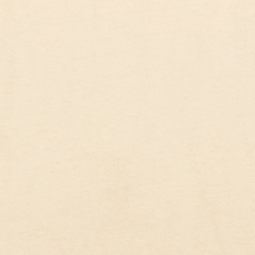 American Apparel 2001 Cream