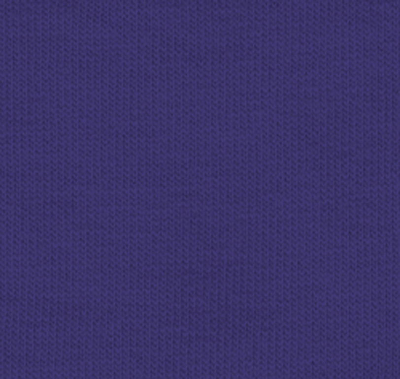 Gildan G500 Cobalt Purple