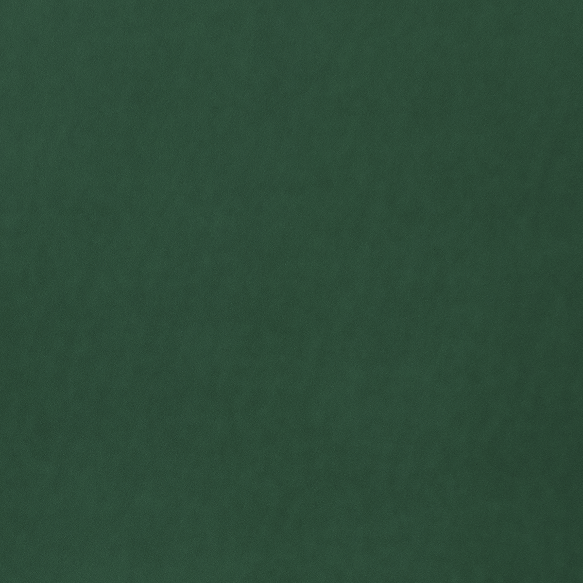 STAHLS 010129 White/Lime