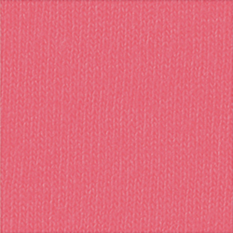 Comfort Colors C3199 Watermelon
