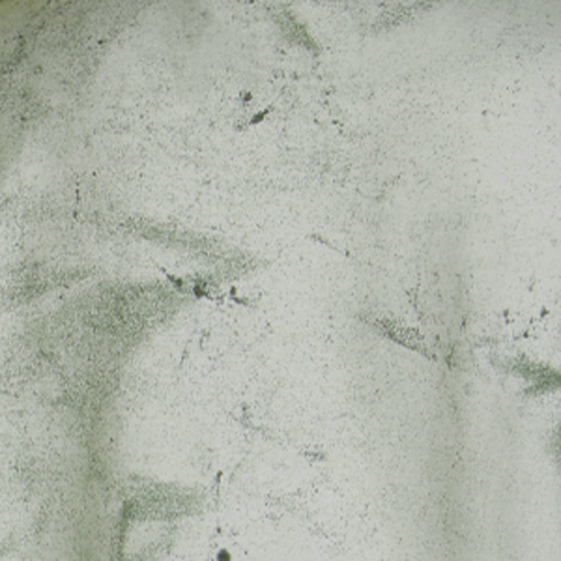 Comfort Colors CC1745 Fern