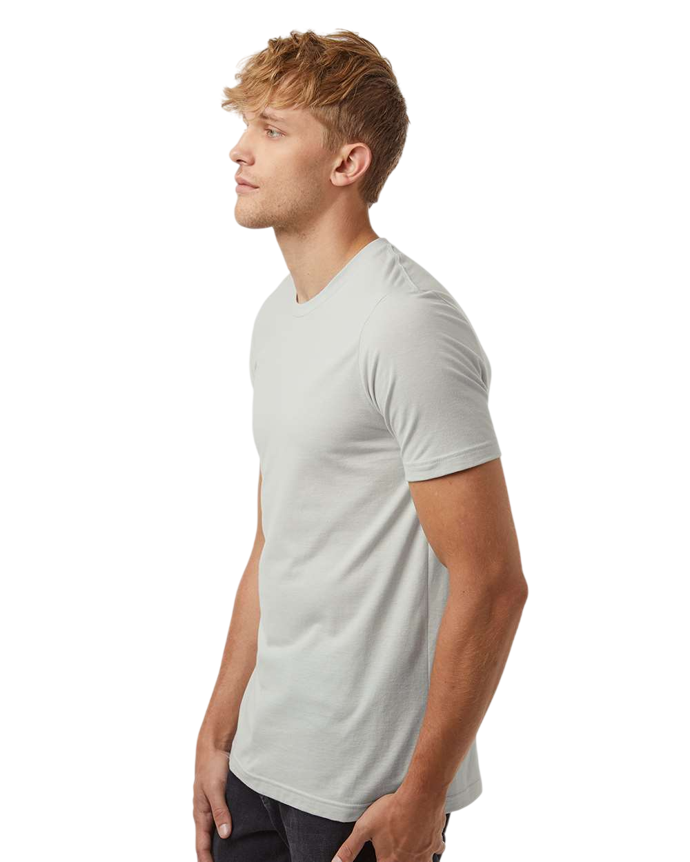 Tultex 602J1 Light Silver