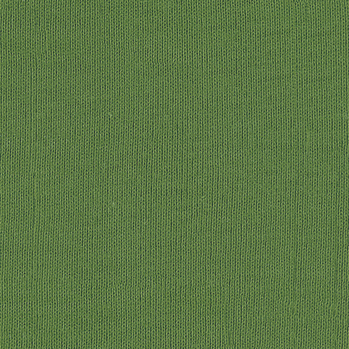 Bella + Canvas 3001C Leaf