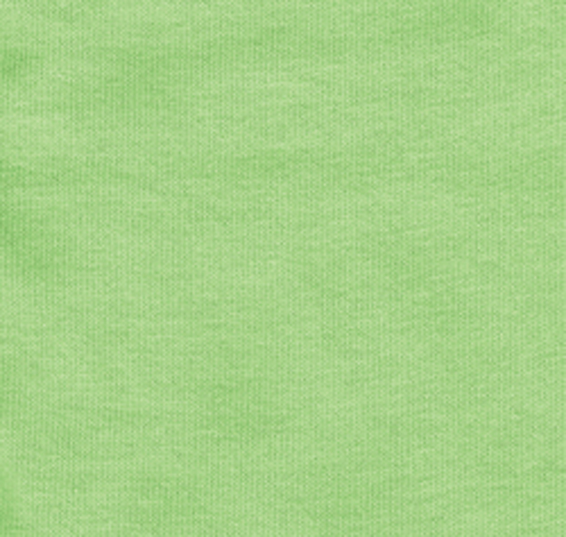 Gildan G200 Mint Green