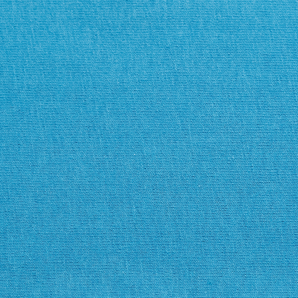 Champion S700 Blue Lagoon