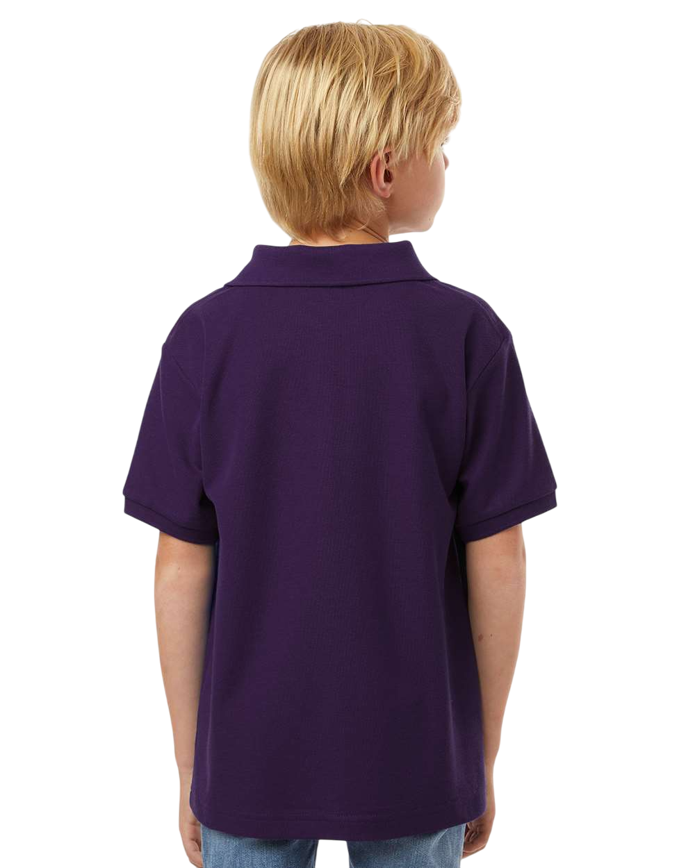 AllPro 62800Y Purple