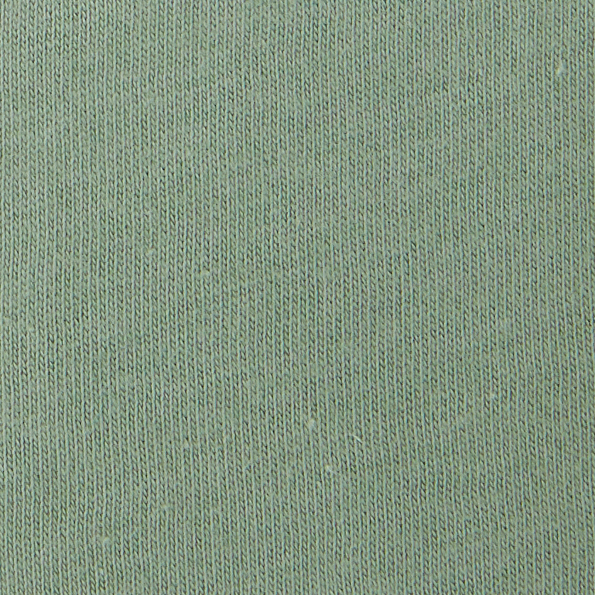 Bella + Canvas 3001C Sage