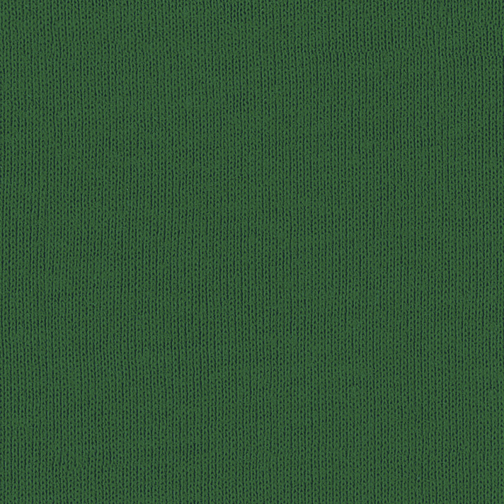 Bella + Canvas 6000 Kelly