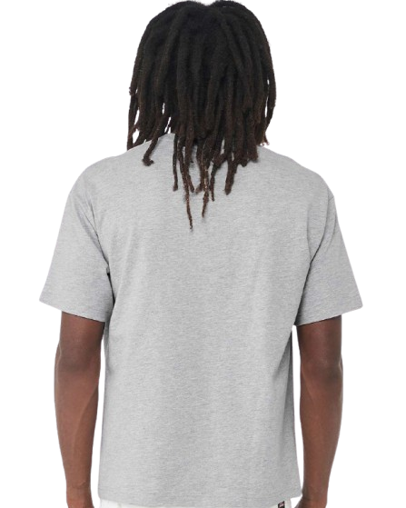 Bella + Canvas 3010C Heather Athletic