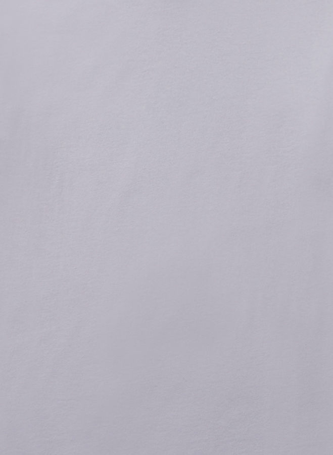 Alternative AA1070 Lilac Mist