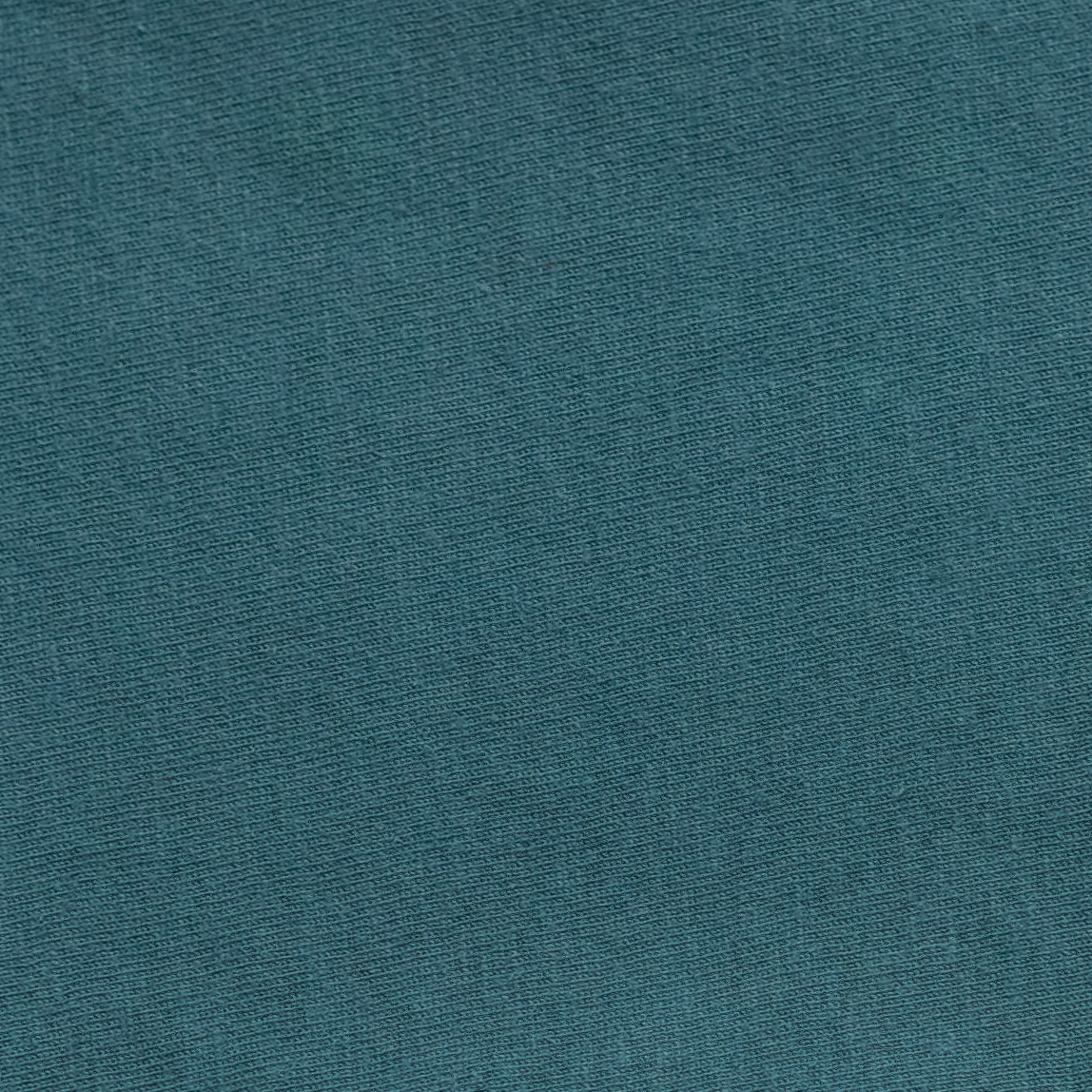 Champion CD100J1 Cactus