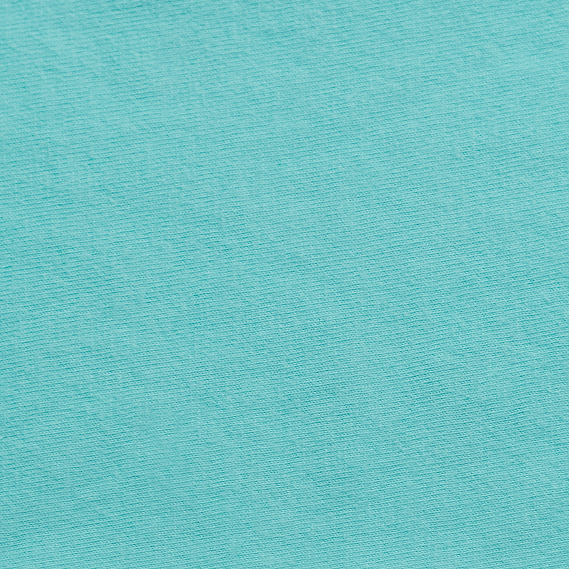 ComfortWash by Hanes GDH300 Mint