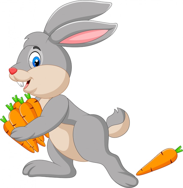Cartoon Rabbit Carrying Carrots and Pumpkin | Jiffy Designs