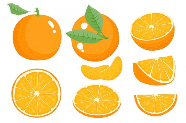 Vibrant Collection of Juicy Orange Citrus Fruits | Jiffy Designs