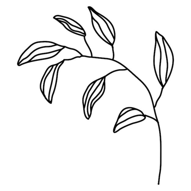 Minimalist Leaf Branch Line Drawing | Jiffy Designs