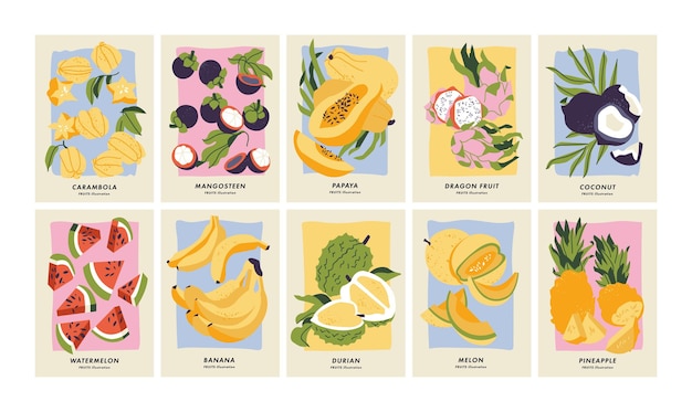 Vibrant Fruit Collection: Diverse Tropical and Seasonal Delights ...