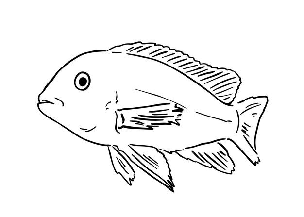 Charming Outline Sketch of a Whimsical Fish | Jiffy Designs