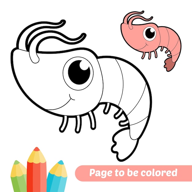 Playful Prawn Duo: A Charming Coloring Page Adventure | Jiffy Designs