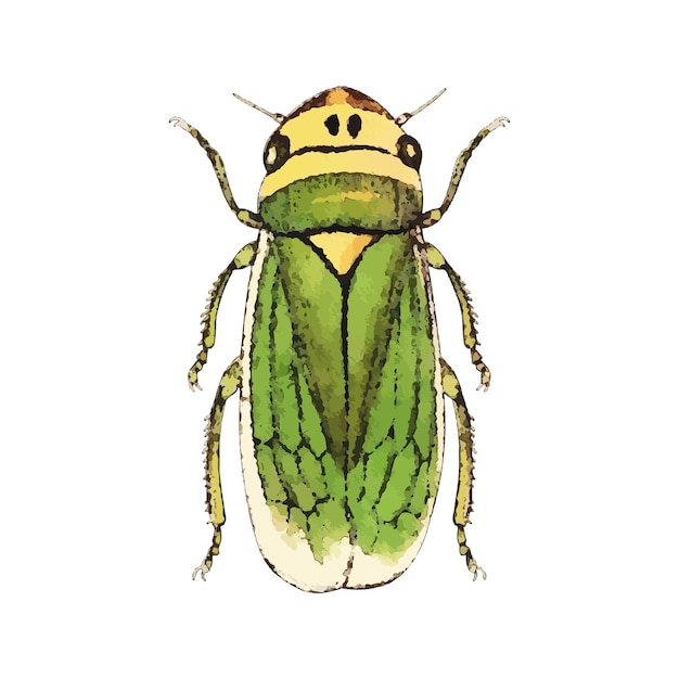 Vibrant Insect Illustration with Striking Green and Yellow Hues | Jiffy ...