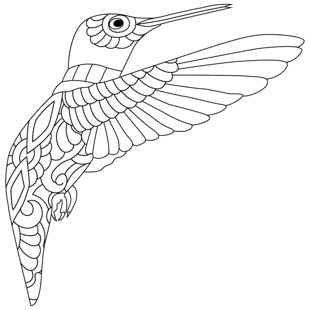 Intricate Hummingbird Illustration with Ornate Design | Jiffy Designs