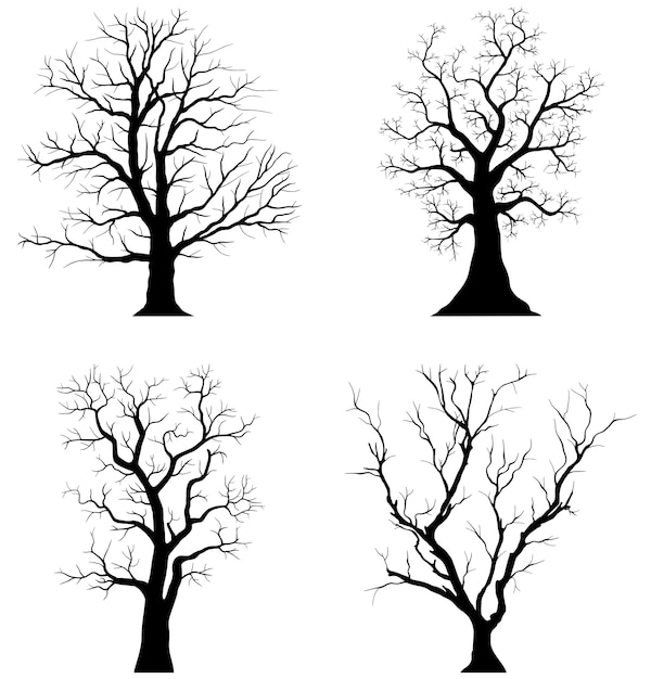 Diverse Collection of Bare Tree Silhouettes with Intricate Branching ...