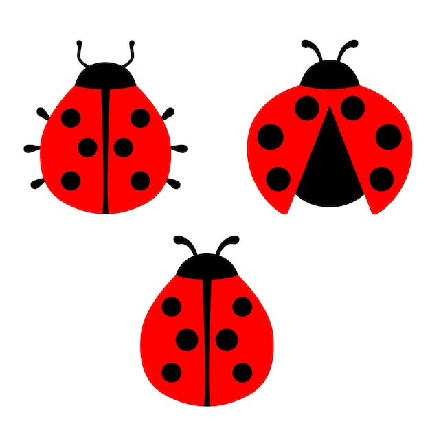 Vibrant Collection of Charming Ladybug Icons | Jiffy Designs