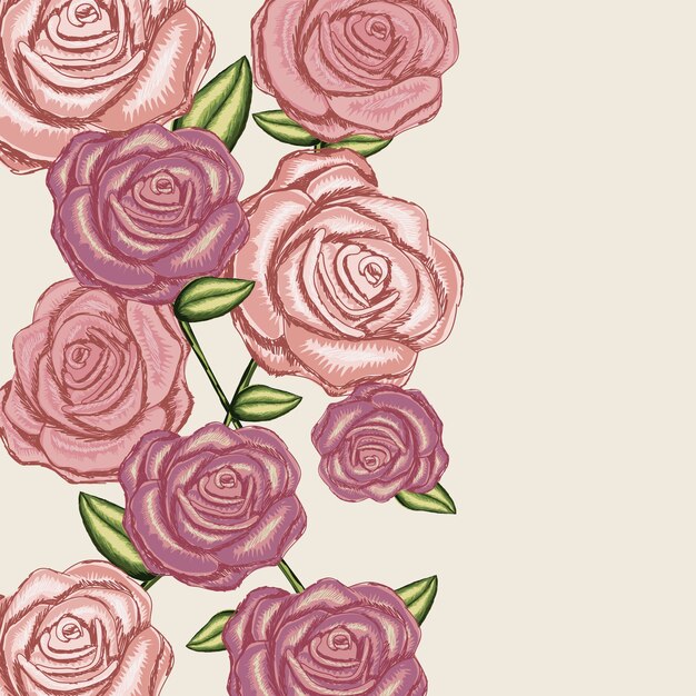 Vibrant Floral Display of Elegant Pink Roses | Jiffy Designs