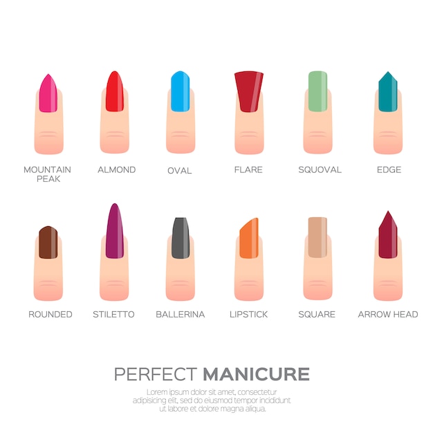 Vibrant Lipstick Palette: A Spectrum of Stylish Shades | Jiffy Designs