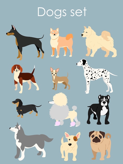 Diverse Canine Companions: A Colorful Assortment of Dog Breeds | Jiffy ...