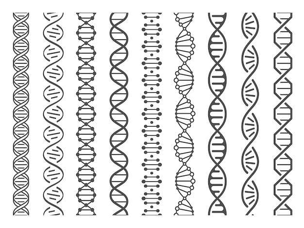Diverse DNA Helical Structures in Detailed Illustration | Jiffy Designs